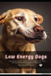Low Energy Dogs