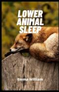 Lower Animal Sleep