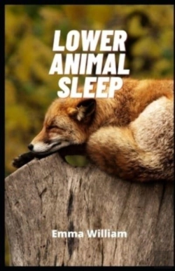 Bertrand.pt - Lower Animal Sleep