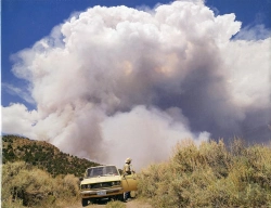 Bertrand.pt - Lucas Foglia : Frontcountry /Anglais
