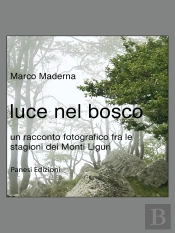Luce Nel Bosco