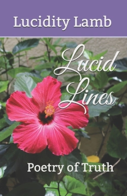 Bertrand.pt - Lucid Lines