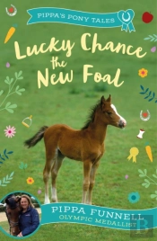 Lucky Chance The New Foal