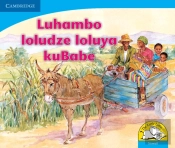 Luhambo Loludze Loluya Ku Babe