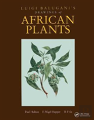 Luigi Balugani'S Drawings Of African Plants