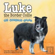 Luke The Border Collie