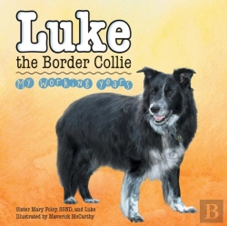 Bertrand.pt - Luke The Border Collie