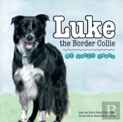 Luke The Border Collie