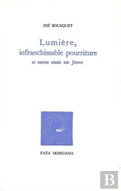 Lumière, Infranchissable Pourriture : Et Autres Essais Sur Pierre-Jean Jouve