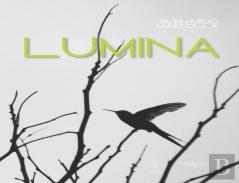 Lumina