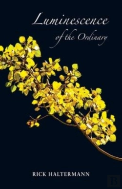 Bertrand.pt - Luminescence Of The Ordinary