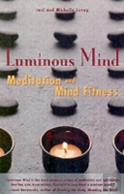 LUMINOUS MIND