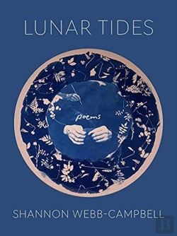 Bertrand.pt - Lunar Tides