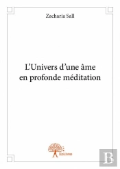 L'Univers D'Une Ame En Profonde Meditation