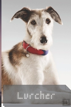 Bertrand.pt - Lurcher