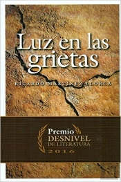 Luz En Las Grietas