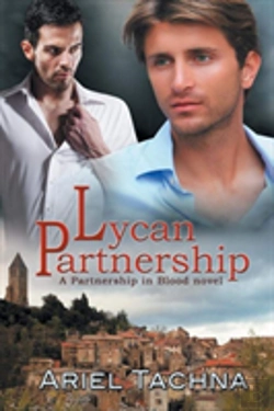 Bertrand.pt - Lycan Partnership