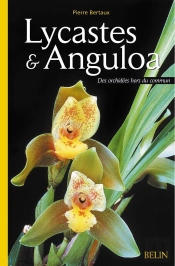 Lycastes & Anguloa : Des Orchidées Hors Du Commun