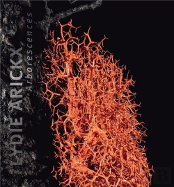 Bertrand.pt - Lydie Arickx ; Arborescences