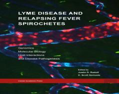Lyme Disease And Relapsing Fever Spirochetes