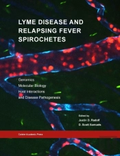 Lyme Disease And Relapsing Fever Spirochetes