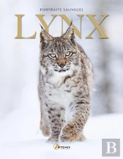 Lynx
