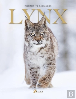 Bertrand.pt - Lynx