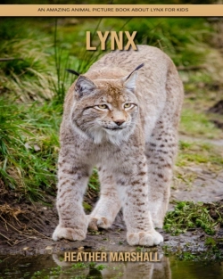 Bertrand.pt - Lynx