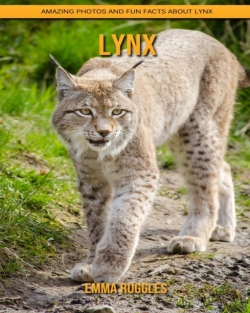 Bertrand.pt - Lynx