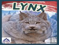 Lynx
