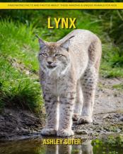Lynx