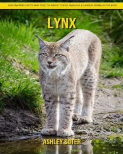 Bertrand.pt - Lynx