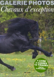 Ma Galerie De Photos De Chevaux