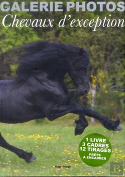 Bertrand.pt - Ma Galerie De Photos De Chevaux