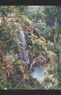 Ma Narmada Paricarma