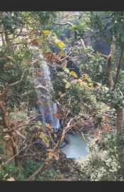Ma Narmada Paricarma