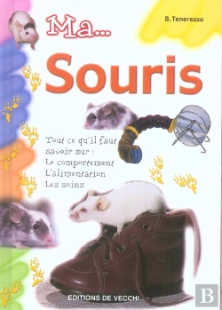 Bertrand.pt - Ma... Souris