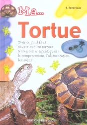 Ma... Tortue