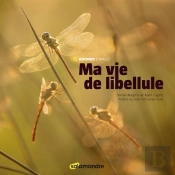 Ma Vie De Libellule
