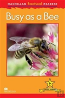 Bertrand.pt - Mac Fact Read Busy As A Bee
