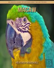 Macaw