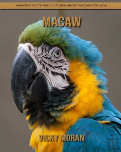 Bertrand.pt - Macaw