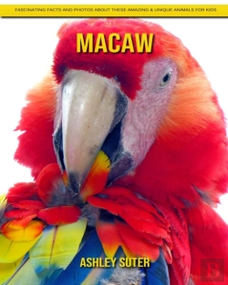 Bertrand.pt - Macaw
