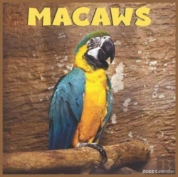 Bertrand.pt - Macaws 2022 Calendar