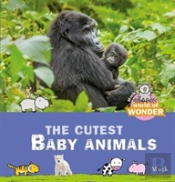 Mack'S World Of Wonder. The Cutest Baby Animals