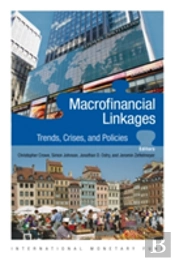 Macro-Financial Linkages