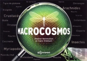 Macrocosmos