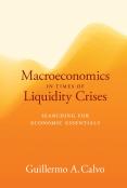 Macroeconomics In Times Of Liquidity Crises