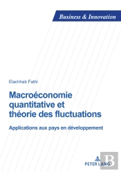 Macroéconomie Quantitative Et Théorie Des Fluctuations