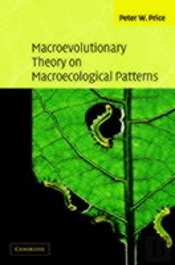 Macroevolutionary Theory On Macroecological Patterns
